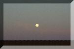 20060213morning 007.jpg